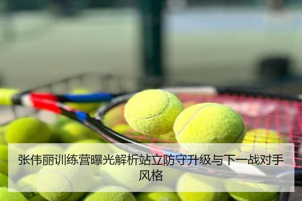 张伟丽训练营曝光解析站立防守升级与下一战对手风格